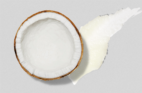 Ingredient Spotlight: Coconut Oil Womaness Ingredient Spotlight: Coconut Oil Womaness
