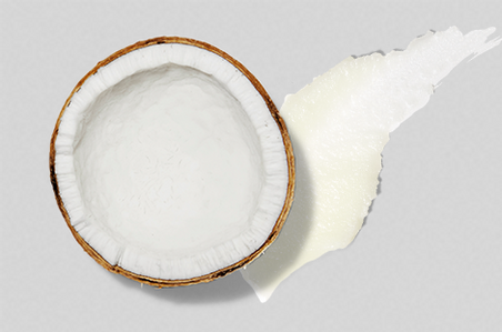 Ingredient Spotlight: Coconut Oil