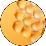 Biotin