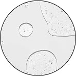 NIACINAMIDE